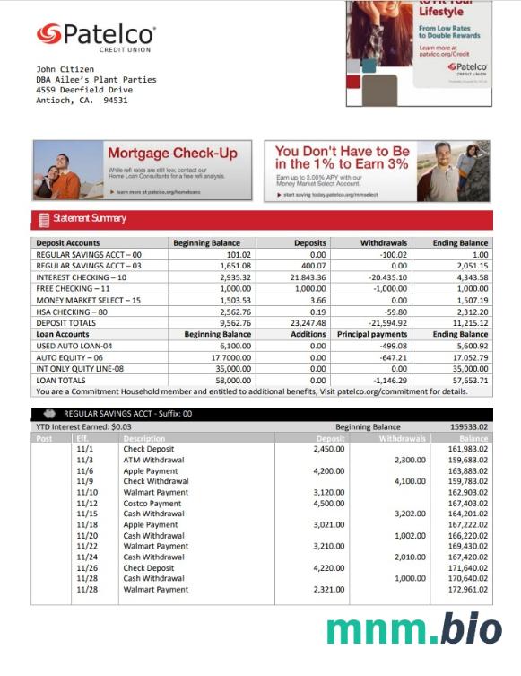 Szablon wyciągu bankowego Usa California Patelco Credit Union w formacie Excel i PDF
